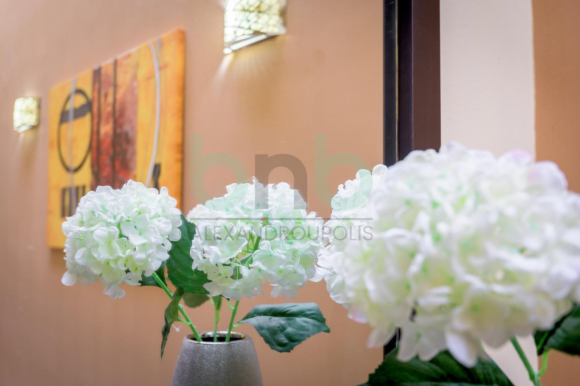 The Maisonette Apartment Alexandroupoli